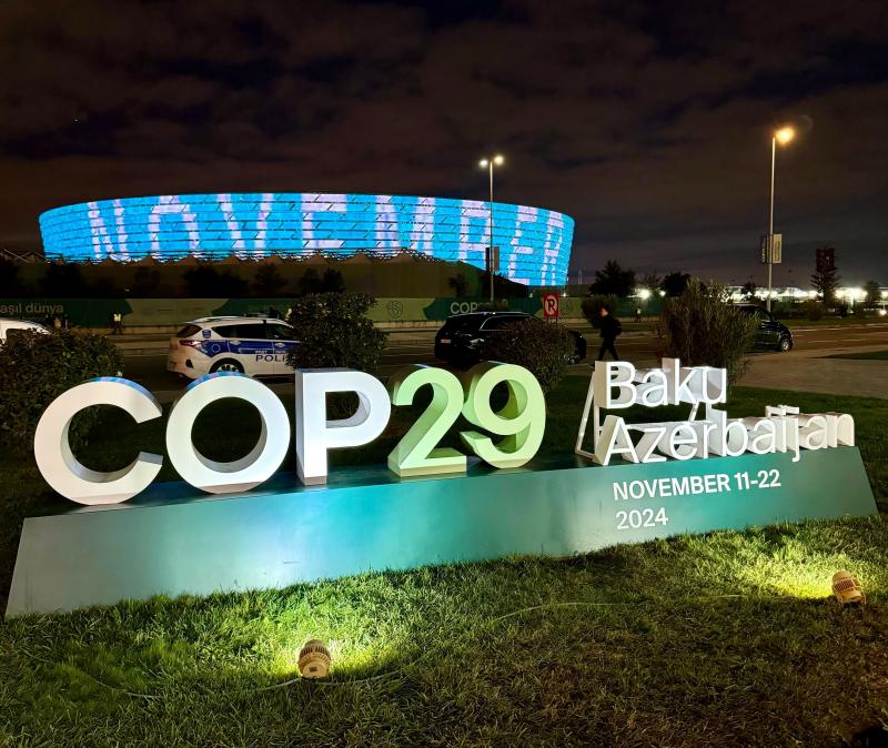 COP29 Image