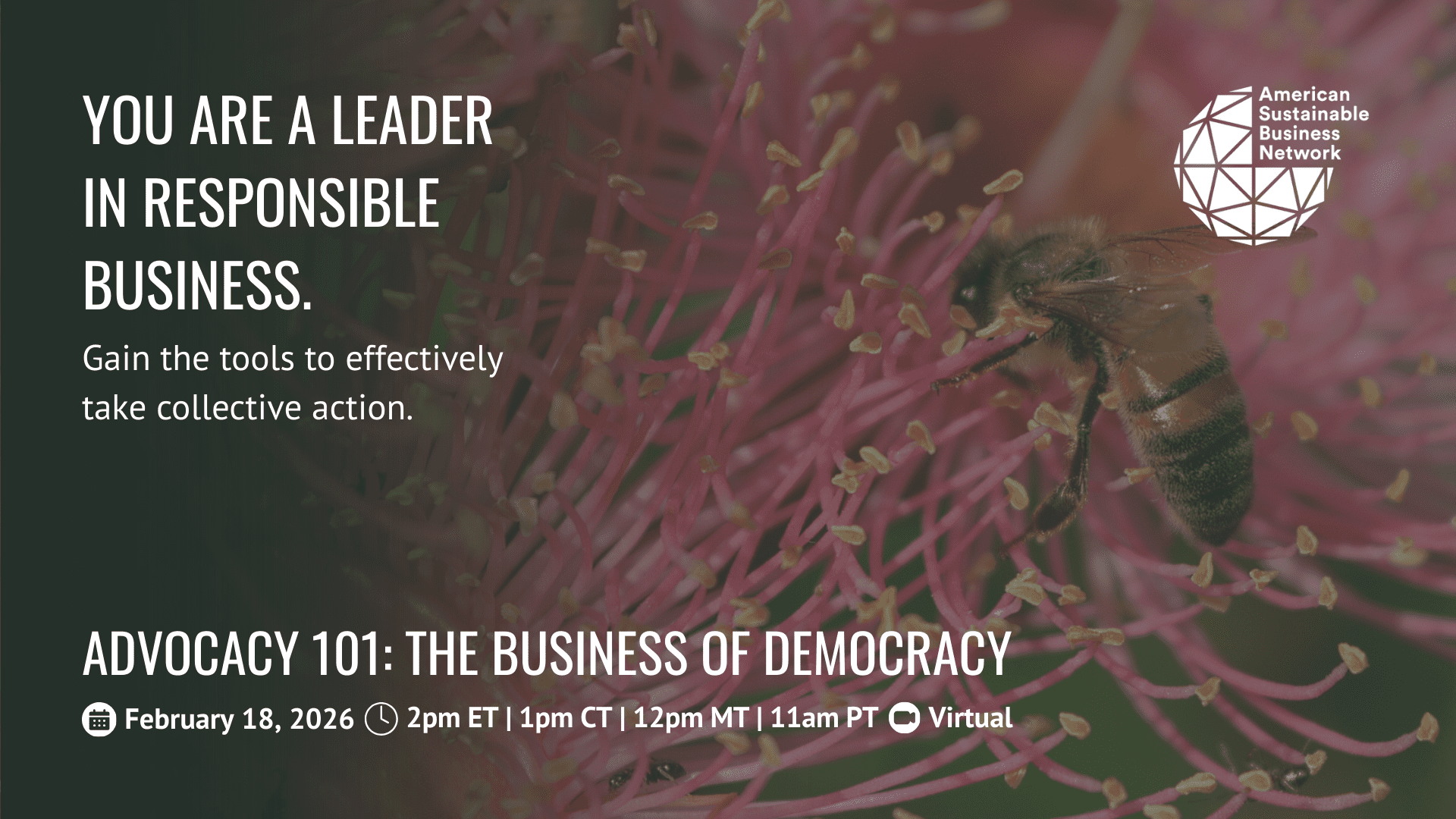 WebsiteAndZoomBanner